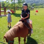 phoca_thumb_m_ponk 102 Fotogalerie